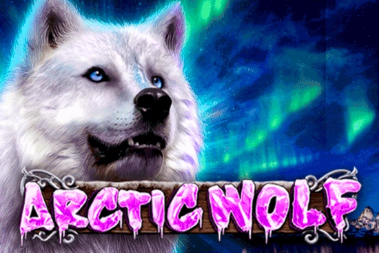 Arctic Wolf