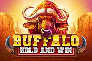 Buffalo Hold and Win