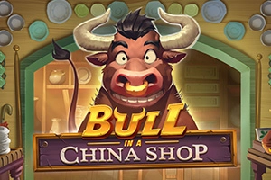 Bull in a China Shop