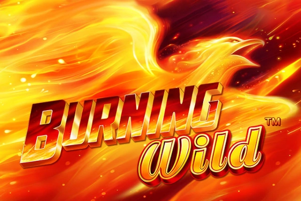 Burning Wild