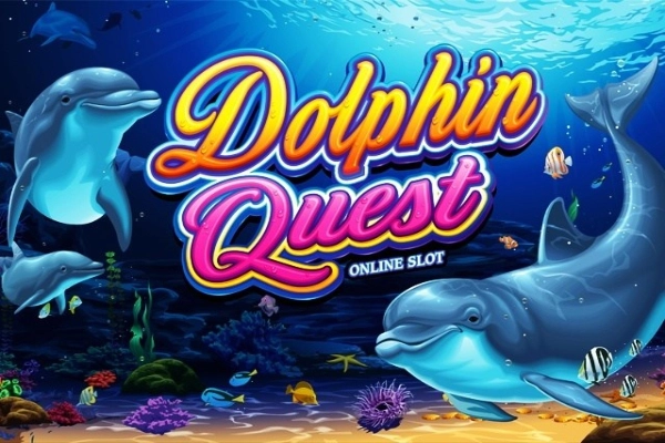 Dolphin Quest