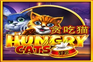 Hungry Cats