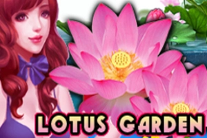 Lotus Garden