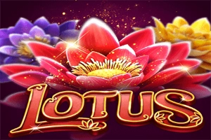 Lotus