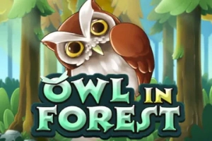 Owl in Forest