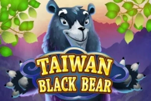 Taiwan Black Bear