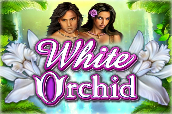 White Orchid