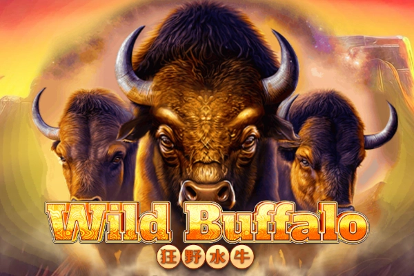 Wild Buffalo